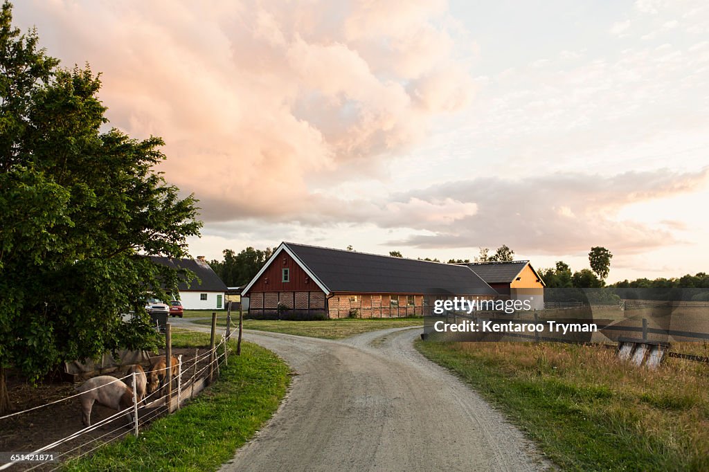 Road leading towards barn against sky at farm