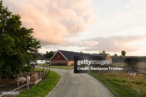 Road leading towards barn against sky at farm Road leading towards barn against sky at farm