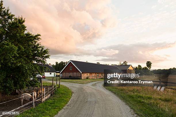 road leading towards barn against sky at farm - fattoria foto e immagini stock