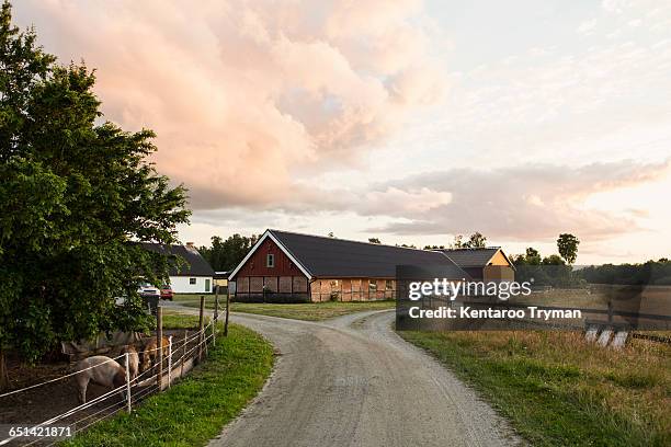 road leading towards barn against sky at farm - farm stockfoto's en -beelden