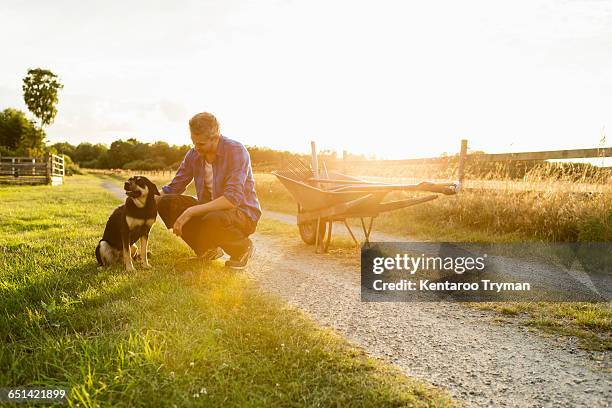 man with dog in grassy field at farm against sky - middle age man with dog stock pictures, royalty-free photos & images