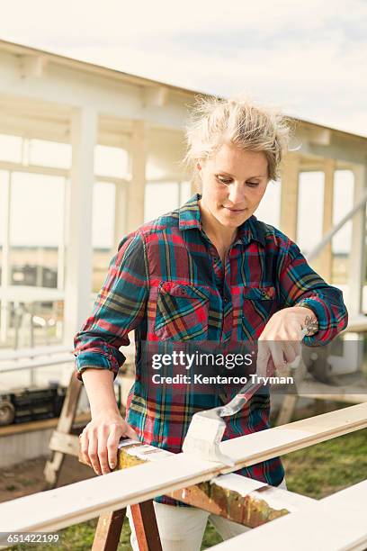 woman painting wooden plank at farm - shed bildbanksfoton och bilder