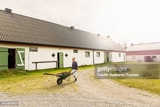 female farmer pushing wheelbarrow on dirt road by barn - boerenwoning stockfoto's en -beelden