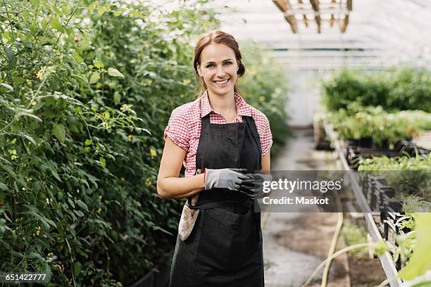portrait of smiling female gardener standing in greenhouse - 園芸用手袋 ストックフォトと画像