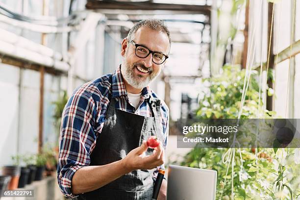 smiling gardener with digital tablet holding tomato in greenhouse - agriculture happy bildbanksfoton och bilder