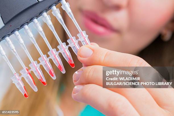 Microtubes Lab 155 Microtube Stock Photos, High-Res Pictures, and Images - Getty Images