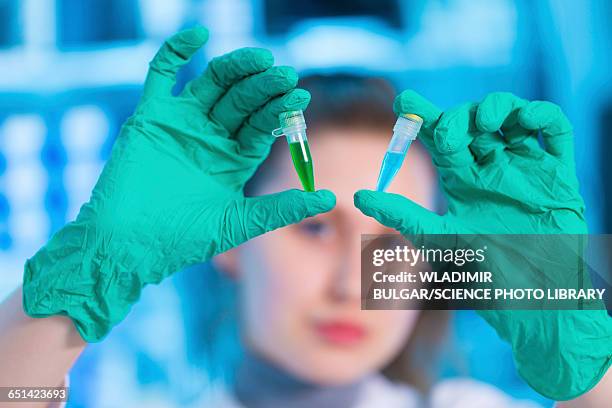 scientist holding eppendorf tubes - eppendorf tube stock pictures, royalty-free photos & images