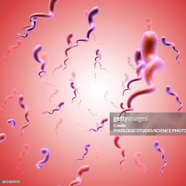 Syphilis Drawing 79 Syphilis Bacteria High Res Illustrations - Getty Images