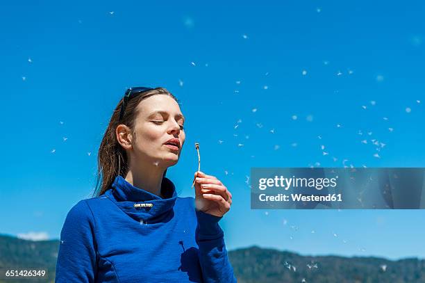 woman blowing blowball under blue sky - dandelion spore stock pictures, royalty-free photos & images