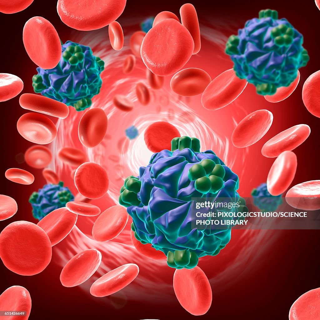 HK97 bacteriophage, illustration