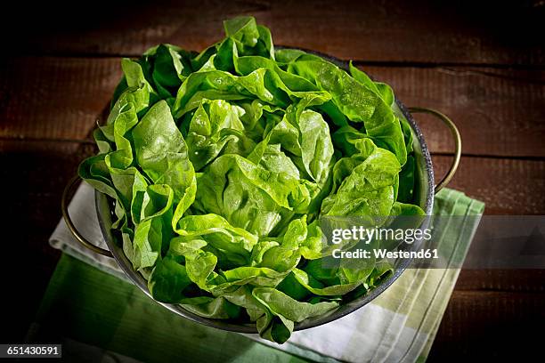 colander with butterhead lettuce - colander stock pictures, royalty-free photos & images