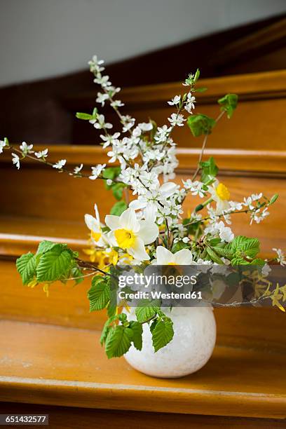 spring bunch of flowers on stairs - forsythia stock pictures, royalty-free photos & images