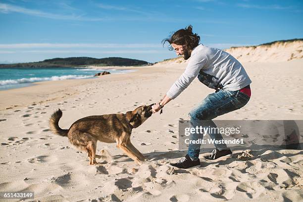 man playing with his mongrel on the beach - pull foto e immagini stock