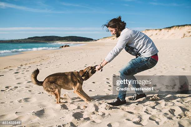 man playing with his mongrel on the beach - pulling stock pictures, royalty-free photos & images