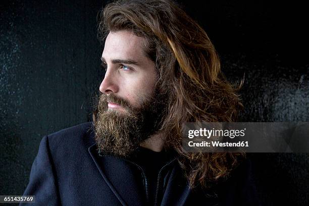 portrait of a bearded businessman - long beard stock pictures, royalty-free photos & images