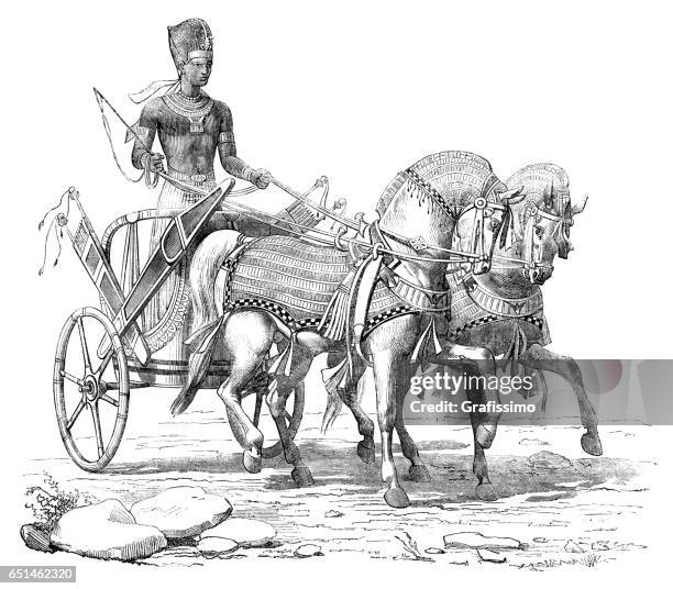 engraving pharaoh on chariot at procession 1868 - chariot stock illustrations