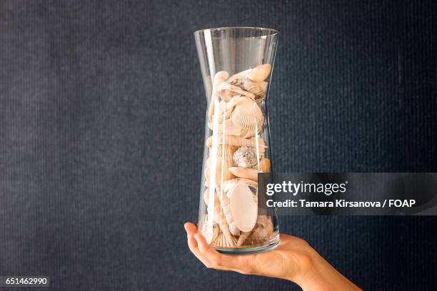 seashells in a vase - glass vase black background foto e immagini stock