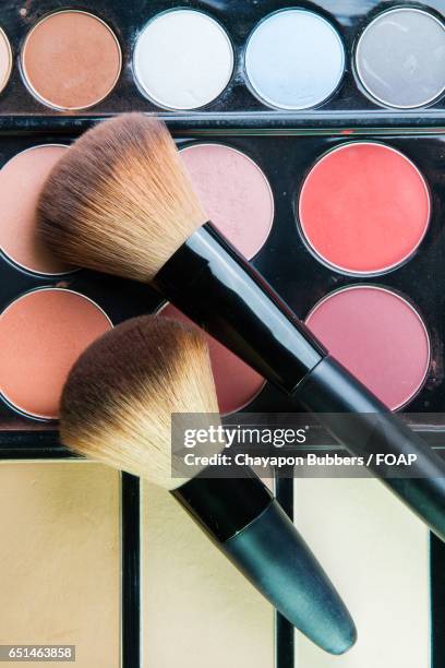 makeup brushes - pincel de blush imagens e fotografias de stock