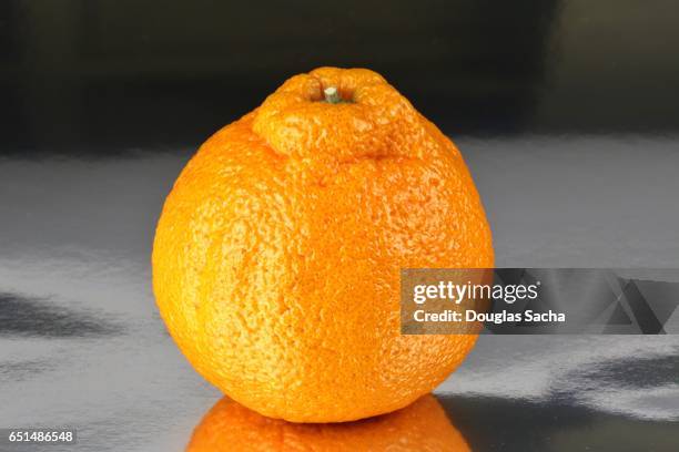 dekopon orange fruit (citrus reticulata) - sumo mandarin stock pictures, royalty-free photos & images