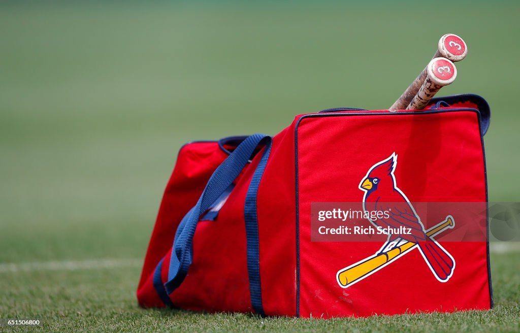 Ripa Bat The bats belonging to Jedd Gyorko of the St. Louis Cardinals on the ...