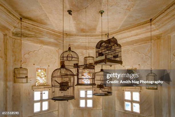 the flight towards freedom - birdcage stock pictures, royalty-free photos & images