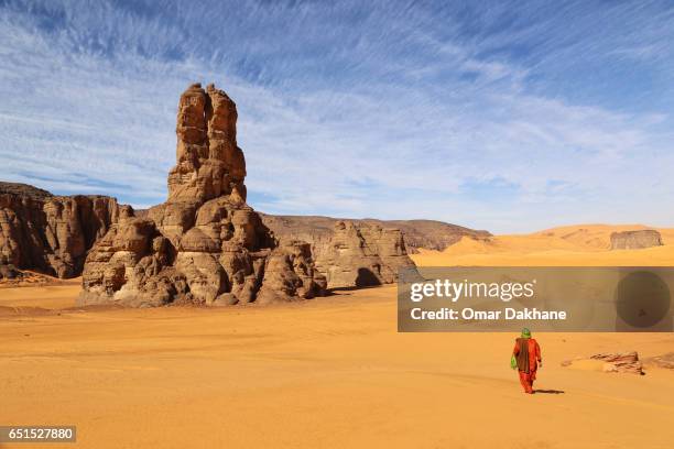 moul nagga - tuareg stock pictures, royalty-free photos & images