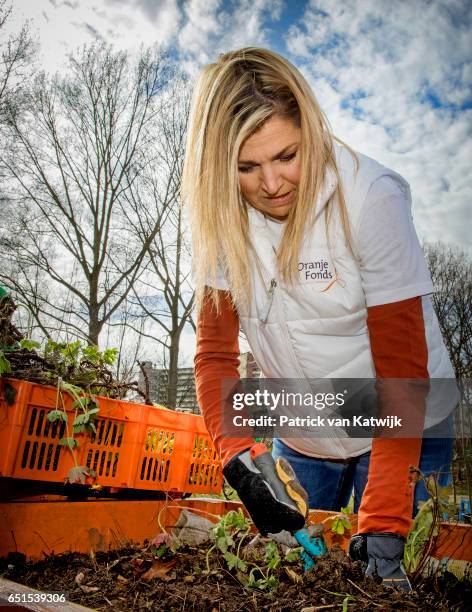 Queen Maxima of the Netherlands volunteering for NL Doet in the neighborhood garden on March 08, 2017 in Breda, Netherlands. NL Doet is a National...