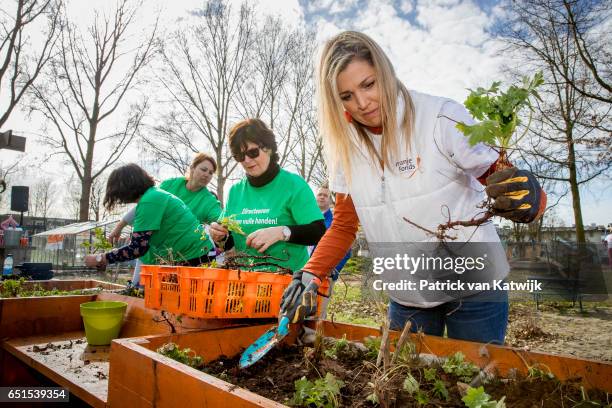 Queen Maxima of the Netherlands volunteering for NL Doet in the neighborhood garden on March 08, 2017 in Breda, Netherlands. NL Doet is a National...