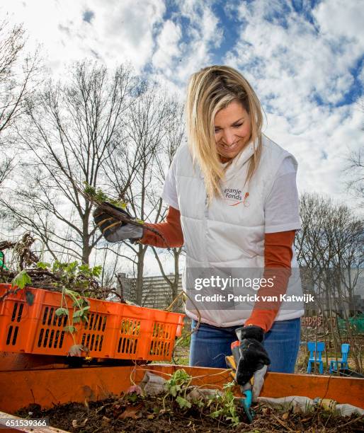 Queen Maxima of the Netherlands volunteering for NL Doet in the neighborhood garden on March 08, 2017 in Breda, Netherlands. NL Doet is a National...