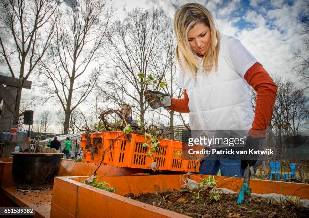 Queen Maxima of the Netherlands volunteering for NL Doet in the neighborhood garden on March 08, 2017 in Breda, Netherlands. NL Doet is a National...