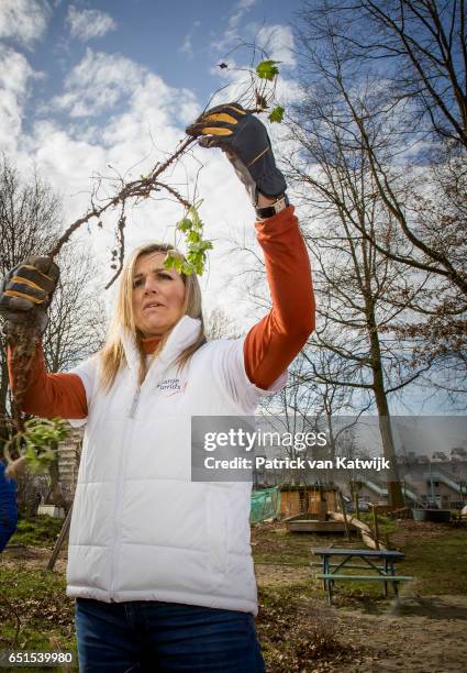 Queen Maxima of the Netherlands volunteering for NL Doet in the neighborhood garden on March 08, 2017 in Breda, Netherlands. NL Doet is a National...