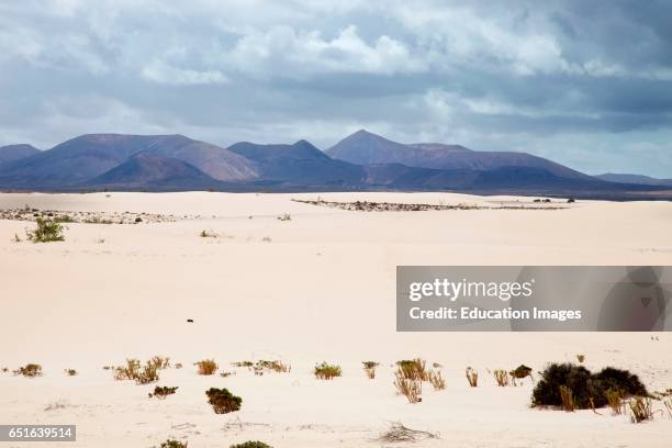 Parque Natural De Corralejo. Fuerteventura. Canarie.