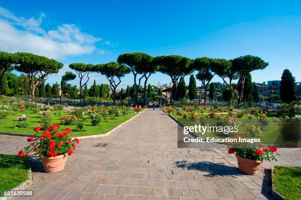 Rose Graden Rome 135 Rome Rose Garden Stock Photos, High-Res Pictures, and Images ...