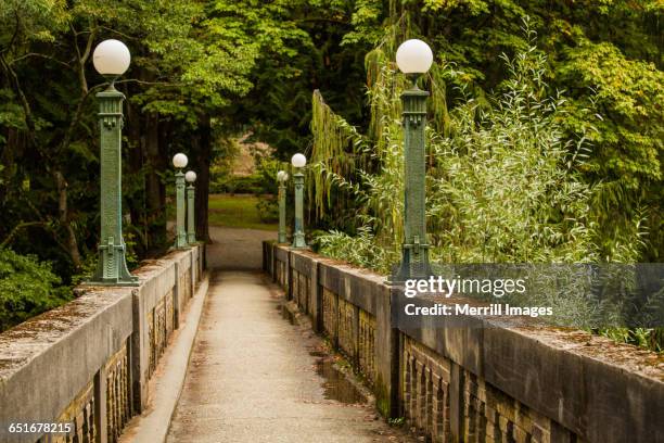 moss-covered pedestrian bridge - washington park arboretum stock-fotos und bilder