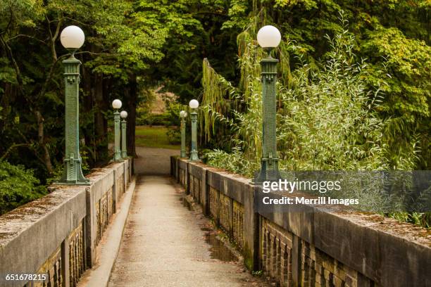 moss-covered pedestrian bridge - washington park arboretum foto e immagini stock