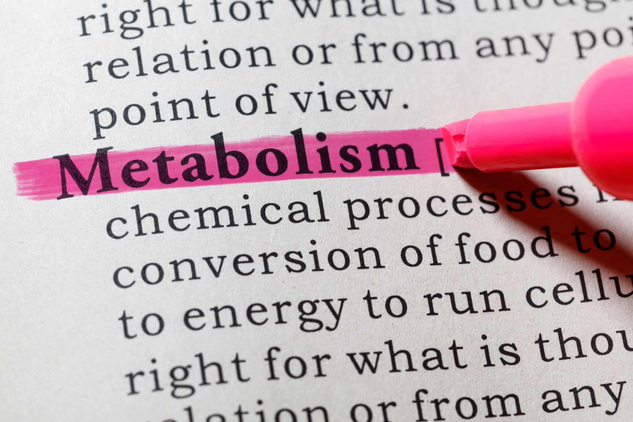 metabolism book