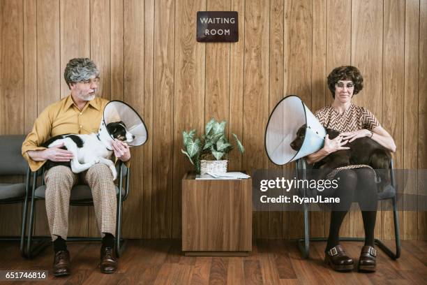 couple flirting at veterinarian with their dogs - protective collar stock pictures, royalty-free photos & images