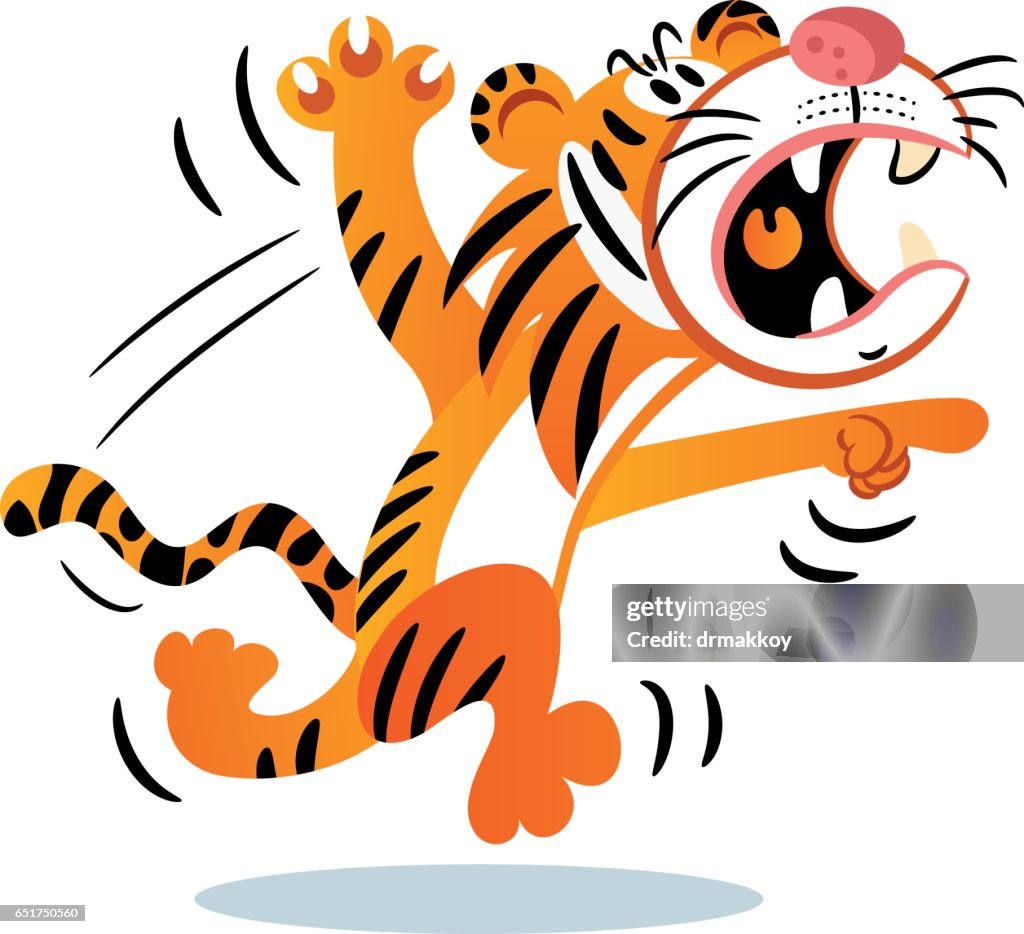 Angry Tiger High-Res Vector Graphic - Getty Images
