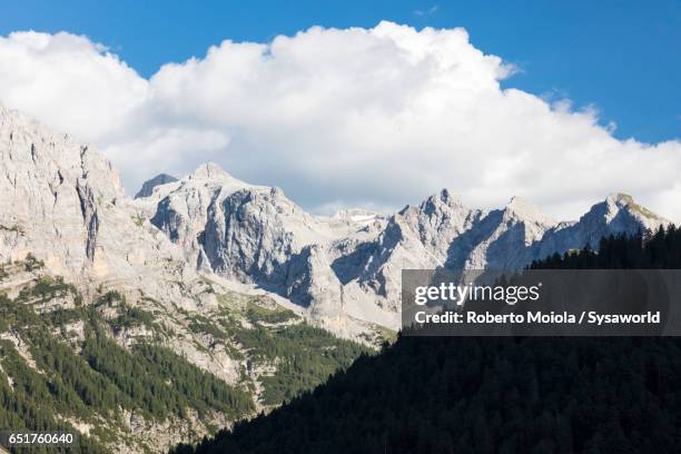 rocky peaks and woods madonna di campiglio italy - madonna di campiglio stock pictures, royalty-free photos & images