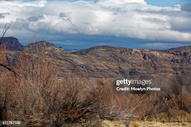 ash meadows mountains - mesquite nevada stock pictures, royalty-free photos & images