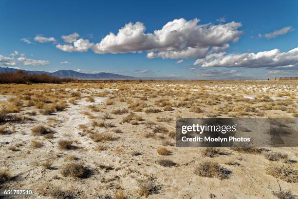 ash meadows desert landscape - plano geral imagens e fotografias de stock