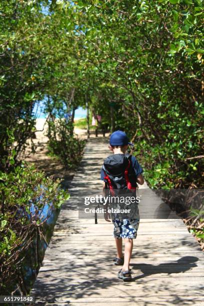 young adventurer - porto seguro stock pictures, royalty-free photos & images