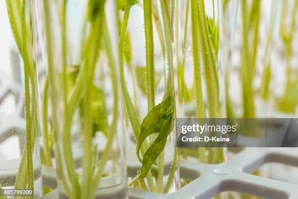 biochemie - farmaceutische-fabriek stockfoto's en -beelden