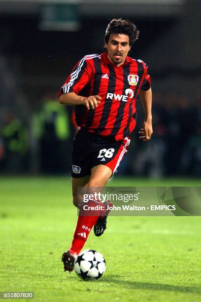 148 Zoltán Sebescen Photos & High Res Pictures Getty Images