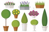 Outdoor potted plants