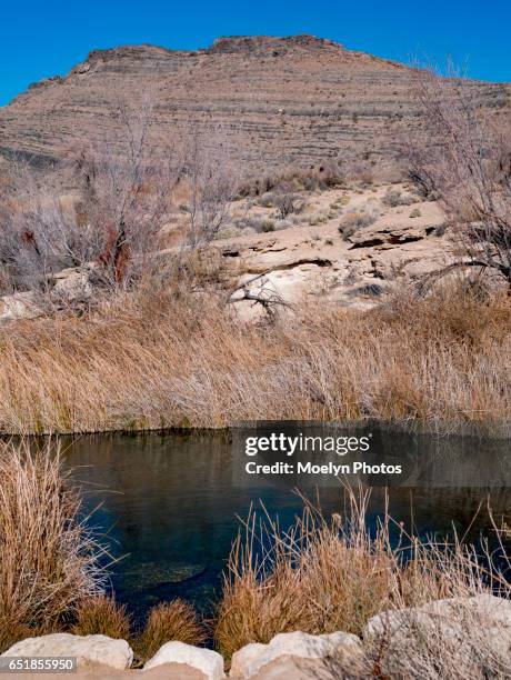 Ash Springs Nevada Photos and Premium High Res Pictures - Getty Images