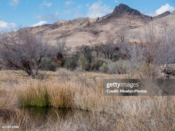 Ash Springs Nevada Photos and Premium High Res Pictures - Getty Images