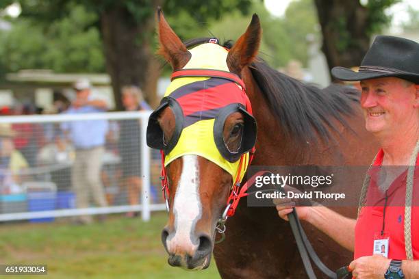 Tim Linehan 152 Squizzy Taylor Photos & High Res Pictures - Getty Images
