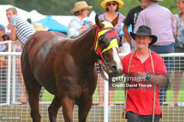 Tim Linehan 152 Squizzy Taylor Photos & High Res Pictures - Getty Images