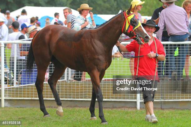 Tim Linehan 152 Squizzy Taylor Photos & High Res Pictures - Getty Images